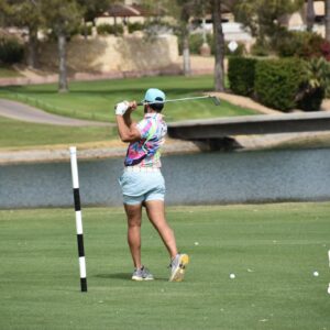 Single Player (1 Golfer)