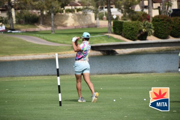 Single Player (1 Golfer)