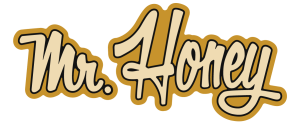 Mr.-Honey-logo-horizontal-main-2024-300x125
